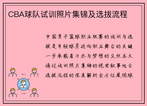 CBA球队试训照片集锦及选拔流程
